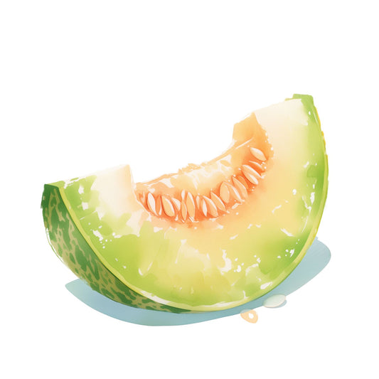 duftwachs wax melt honeydew melon 